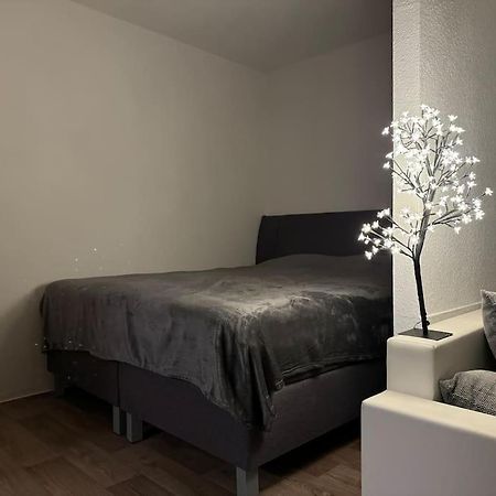 Ferienwohnung Wohnung Innenstadt Am Burgsee Bad Salzungen Dış mekan fotoğraf